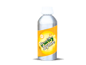 Purify zyme